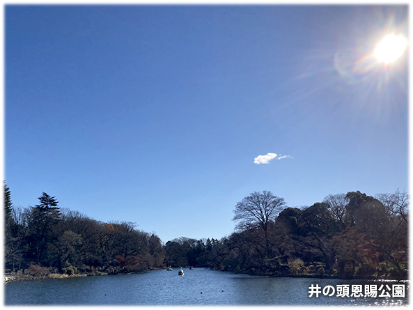 吉祥寺本町法律事務所 季節の写真