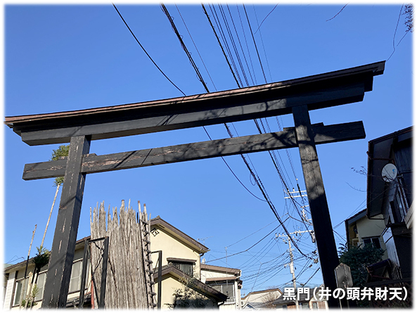 吉祥寺本町法律事務所 季節の写真