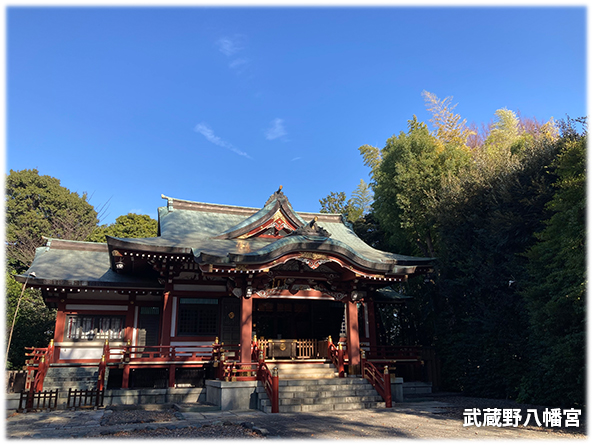 吉祥寺本町法律事務所 季節の写真