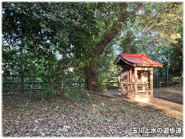 吉祥寺本町法律事務所 季節の写真