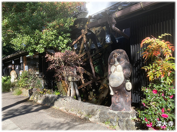 吉祥寺本町法律事務所 季節の写真