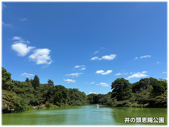 吉祥寺本町法律事務所 季節の写真