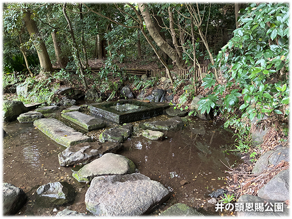 吉祥寺本町法律事務所 季節の写真
