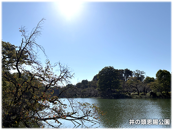 吉祥寺本町法律事務所 季節の写真